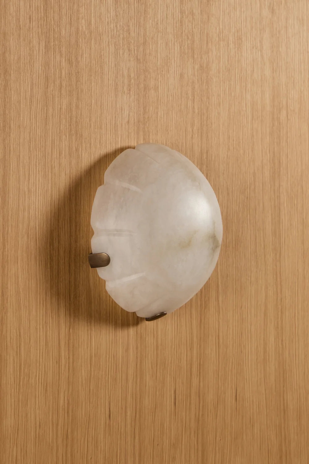 Jellyfish APPLIQUE / Jellyfish SCONCE