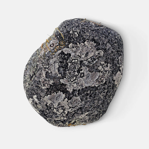 Rock piece #2