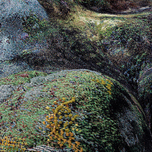 Wilderness Sofa