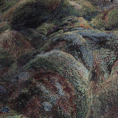 Wilderness Sofa