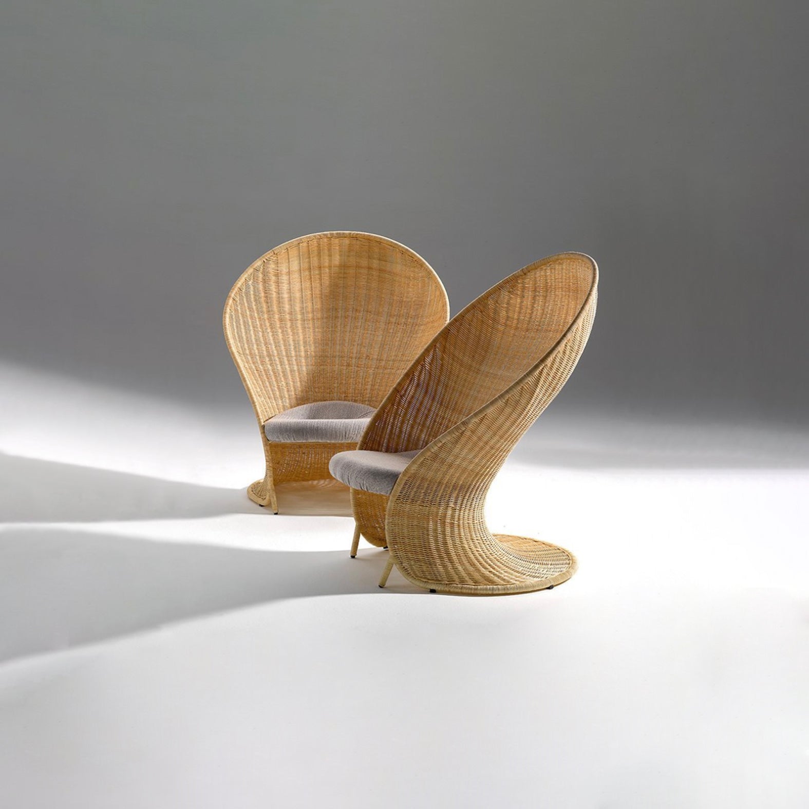 Foglia Lounge Chair